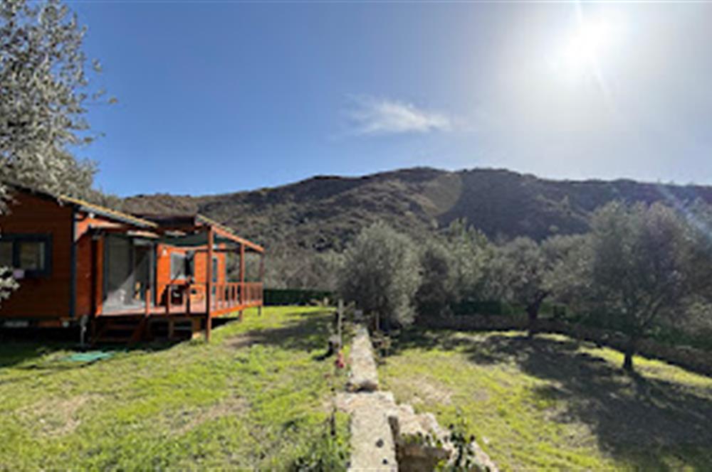 Hayıtbükü Plajına 450 m | Tiny House Mevcut | Ana Yola Cepheli