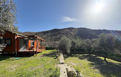 Hayıtbükü Plajına 450 m | Tiny House Mevcut | Ana Yola Cepheli