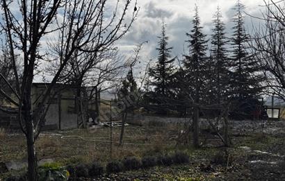   KARAOĞLAN MAHALLESİ'NDE HİSSE TAPULU BAĞ YERİ