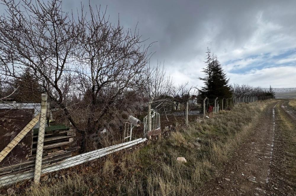   KARAOĞLAN MAHALLESİ'NDE HİSSE TAPULU BAĞ YERİ