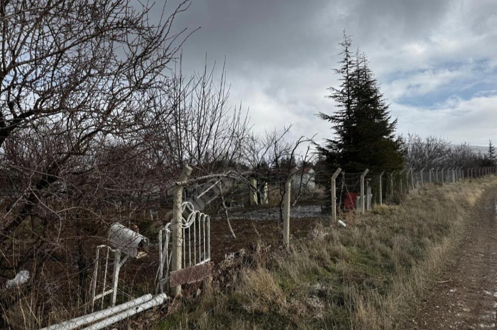   KARAOĞLAN MAHALLESİ'NDE HİSSE TAPULU BAĞ YERİ