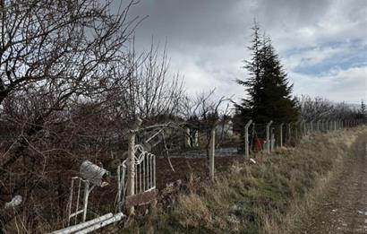   KARAOĞLAN MAHALLESİ'NDE HİSSE TAPULU BAĞ YERİ