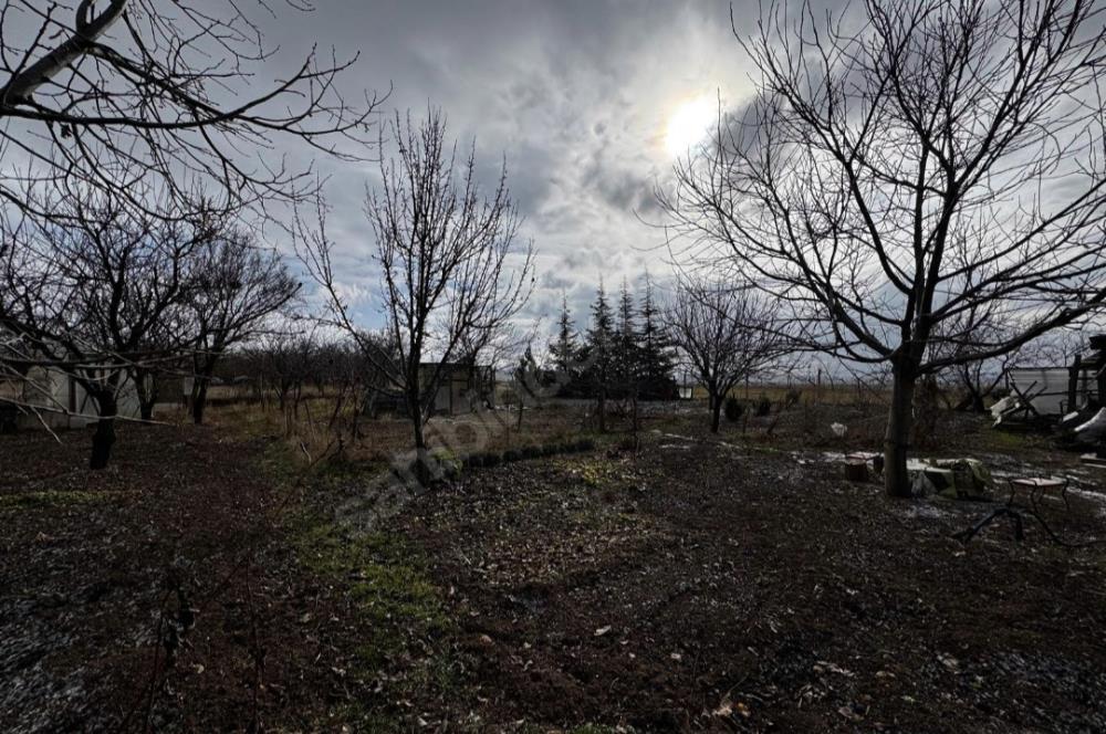   KARAOĞLAN MAHALLESİ'NDE HİSSE TAPULU BAĞ YERİ