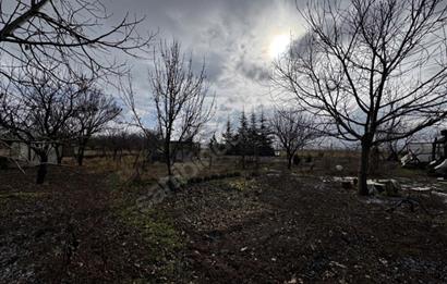   KARAOĞLAN MAHALLESİ'NDE HİSSE TAPULU BAĞ YERİ