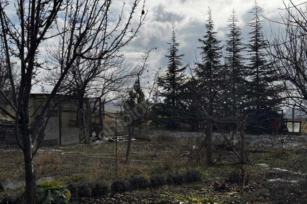   KARAOĞLAN MAHALLESİ'NDE HİSSE TAPULU BAĞ YERİ