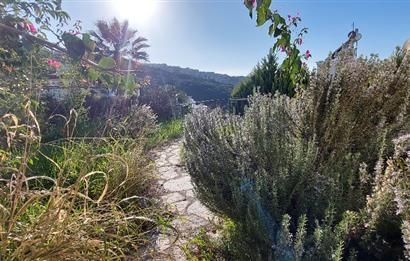 Bodrum-Adabükü kiralık üst dubleks daire