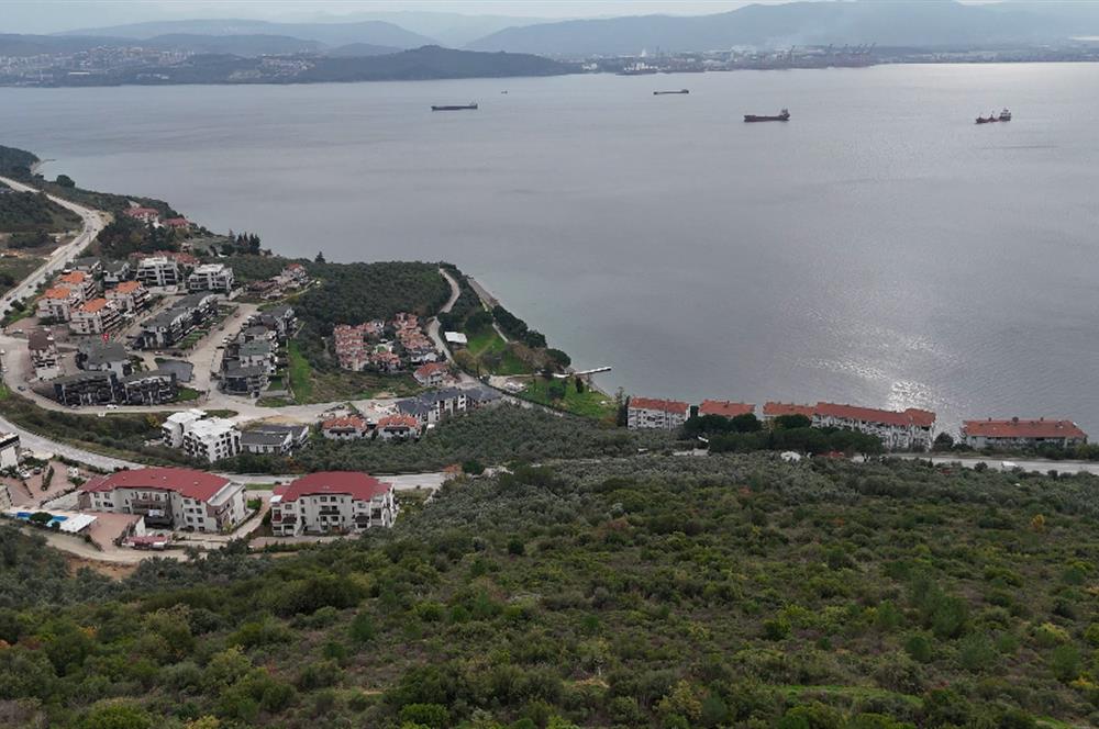C21 Cius; Deniz Manzaralı Satılık İmarlı Arsa