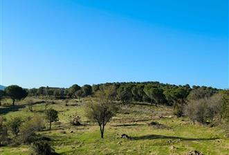 AYVALIK HACİVELİLER’DE 521 m² VİLLA İMARLI MÜSTAKİL TAPULU SATILIK ARSA - 10 - 31758