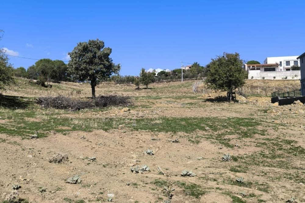 AYVALIK HACİVELİLER’DE 521 m² VİLLA İMARLI MÜSTAKİL TAPULU SATILIK ARSA