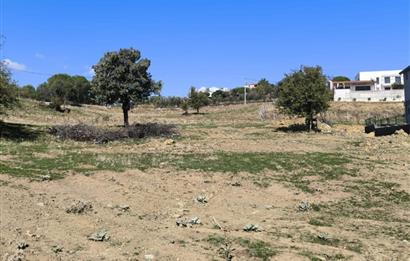 AYVALIK HACİVELİLER’DE 521 m² VİLLA İMARLI MÜSTAKİL TAPULU SATILIK ARSA