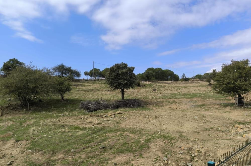 AYVALIK HACİVELİLER’DE 521 m² VİLLA İMARLI MÜSTAKİL TAPULU SATILIK ARSA