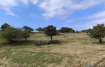 AYVALIK HACİVELİLER’DE 521 m² VİLLA İMARLI MÜSTAKİL TAPULU SATILIK ARSA