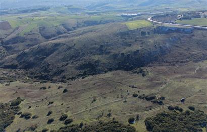 C21 WİNNER ÜÇPINAR MAHALLESİ 7.023m² SATILIK TARLA