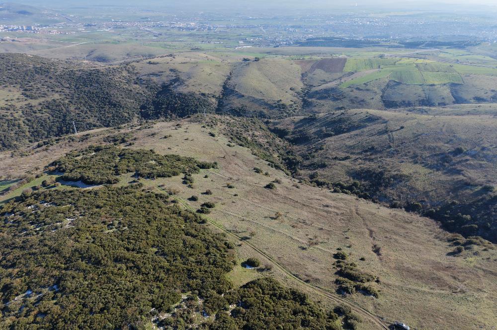 C21 WİNNER ÜÇPINAR MAHALLESİ 7.023m² SATILIK TARLA