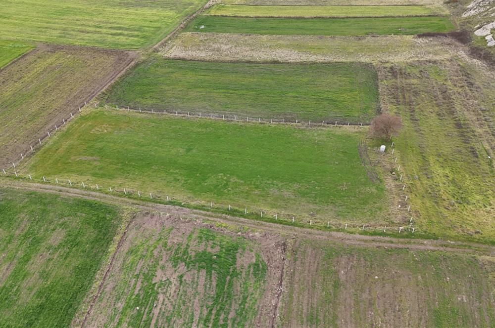 C21 WİNNER KARAKOL MAHALLESİ 2.595 m² SATILIK TARLA