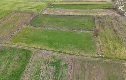 C21 WİNNER KARAKOL MAHALLESİ 2.595 m² SATILIK TARLA