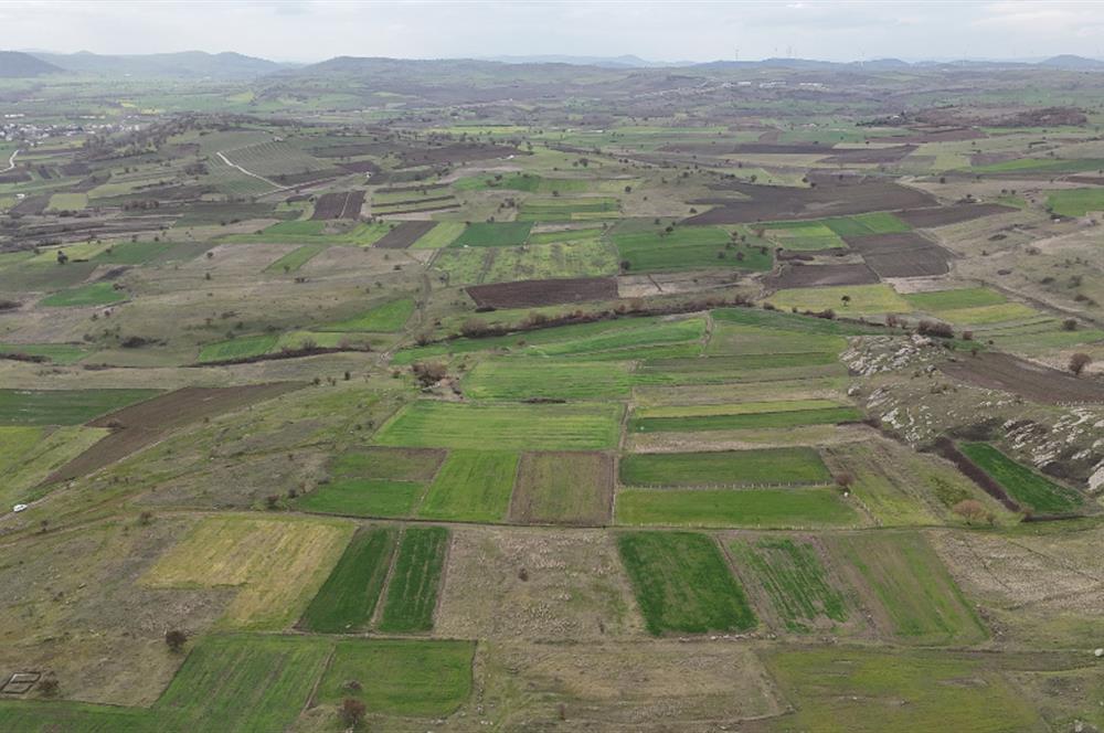 C21 WİNNER KARAKOL MAHALLESİ 2.595 m² SATILIK TARLA