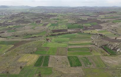 C21 WİNNER KARAKOL MAHALLESİ 2.595 m² SATILIK TARLA