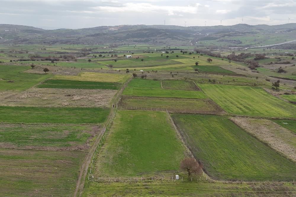 C21 WİNNER KARAKOL MAHALLESİ 2.595 m² SATILIK TARLA