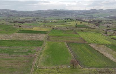 C21 WİNNER KARAKOL MAHALLESİ 2.595 m² SATILIK TARLA