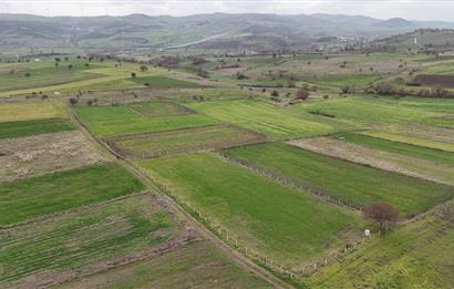 C21 WİNNER KARAKOL MAHALLESİ 2.595 m² SATILIK TARLA