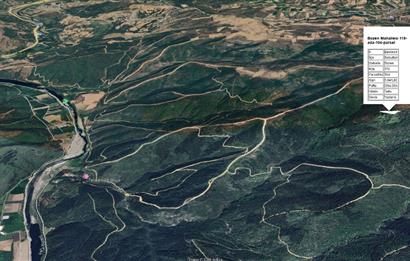 CENTRUY 21 BAL'DAN  SUSURLUK BOZEN MAHALLESİ SATILIK TARLA