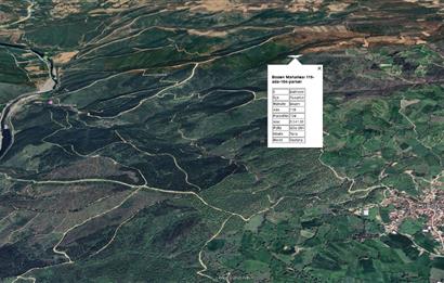 CENTRUY 21 BAL'DAN  SUSURLUK BOZEN MAHALLESİ SATILIK TARLA