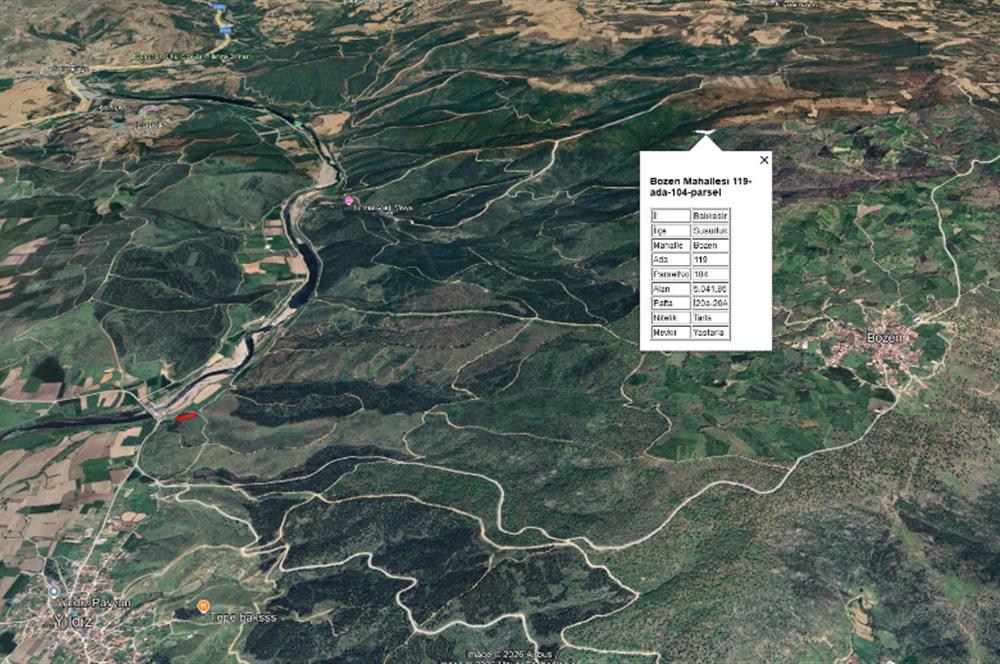 CENTRUY 21 BAL'DAN  SUSURLUK BOZEN MAHALLESİ SATILIK TARLA