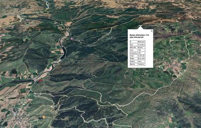 CENTRUY 21 BAL'DAN  SUSURLUK BOZEN MAHALLESİ SATILIK TARLA