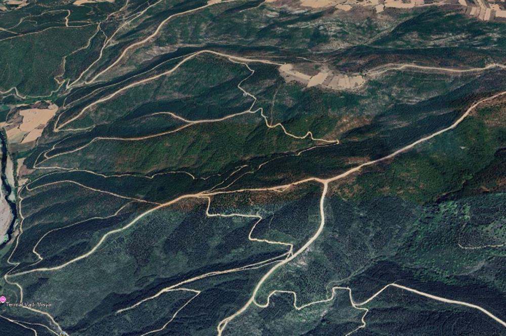 CENTRUY 21 BAL'DAN  SUSURLUK BOZEN MAHALLESİ SATILIK TARLA