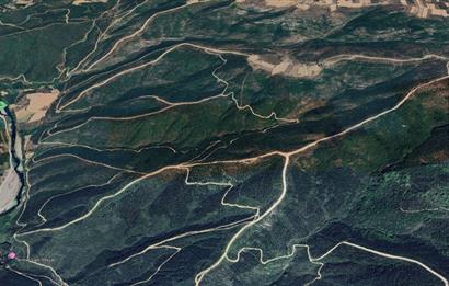 CENTRUY 21 BAL'DAN  SUSURLUK BOZEN MAHALLESİ SATILIK TARLA