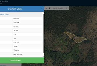 CENTRUY 21 BAL'DAN  SUSURLUK BOZEN MAHALLESİ SATILIK TARLA - 10 - 31727