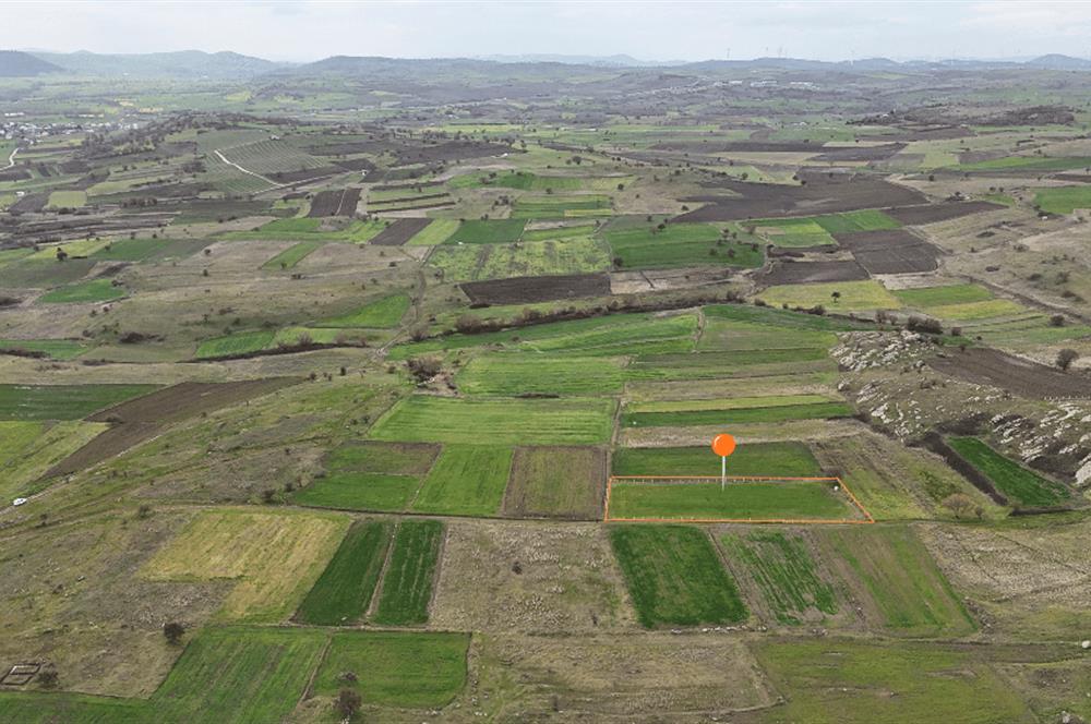 C21 WİNNER KARAKOL MAHALLESİ 2.595 m² SATILIK TARLA