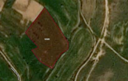 Kırklareli Merkez Bağlar Mevkii 12,900 m2 Satılık Tarla