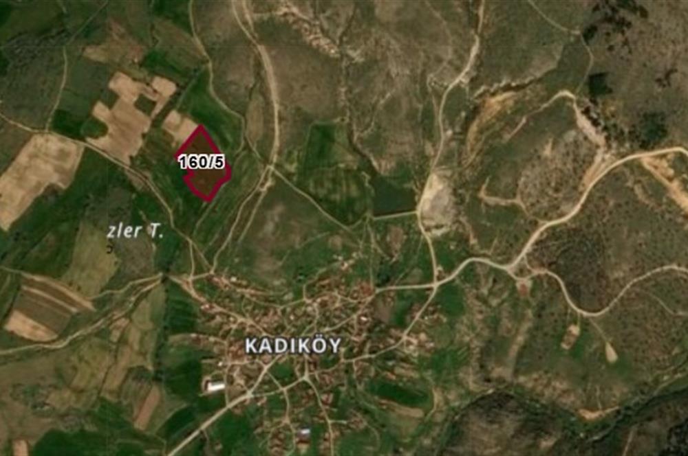 Kırklareli Merkez Bağlar Mevkii 12,900 m2 Satılık Tarla