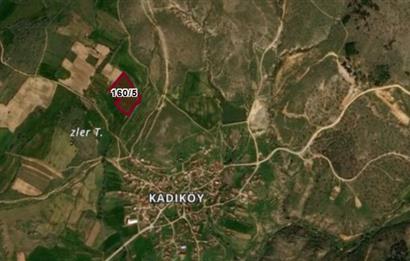 Kırklareli Merkez Bağlar Mevkii 12,900 m2 Satılık Tarla