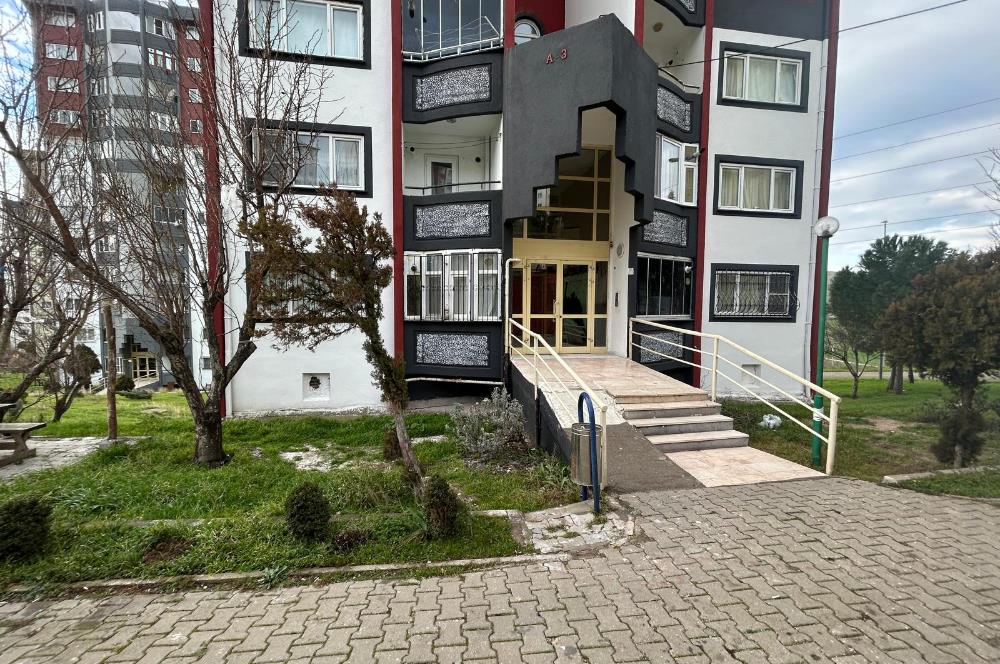 C21 BAL'DAN TOKİ YENİ MAH KİRALIK 1+1 TEMİZ DAİRE