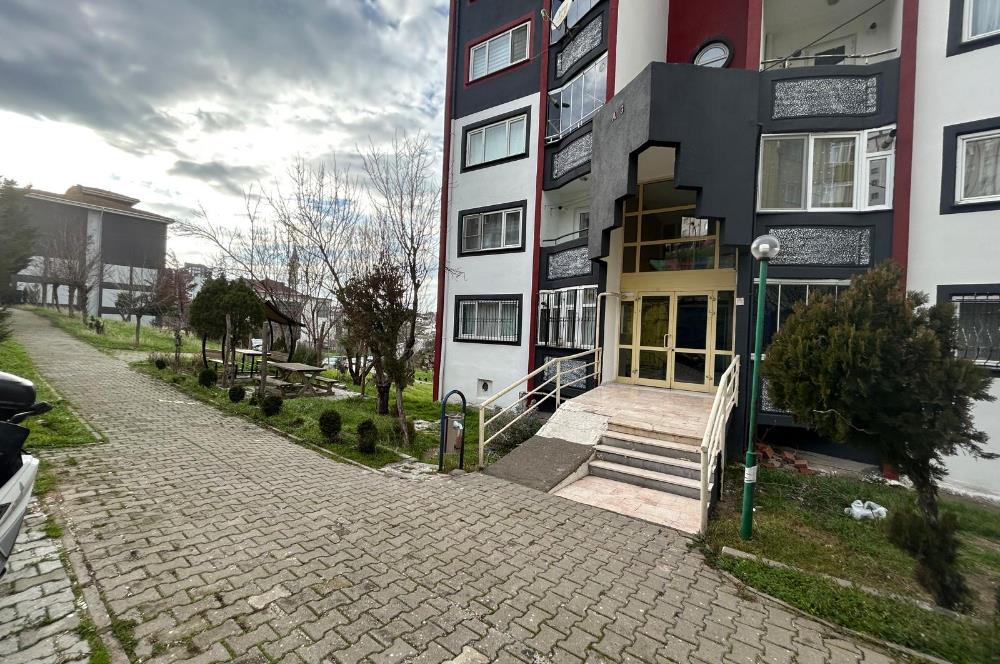 C21 BAL'DAN TOKİ YENİ MAH KİRALIK 1+1 TEMİZ DAİRE