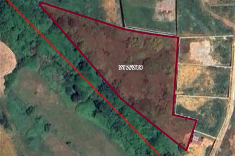 Çatalca kestanelikte yatırımlık hisseli tarla 