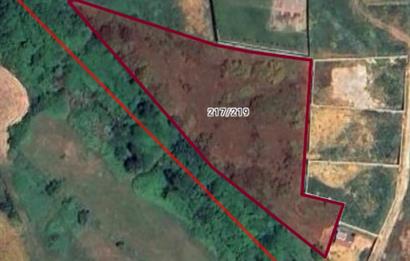 Çatalca kestanelikte yatırımlık hisseli tarla 