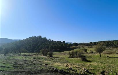 AYVALIK HACİVELİLER’DE 521 m² VİLLA İMARLI MÜSTAKİL TAPULU SATILIK ARSA