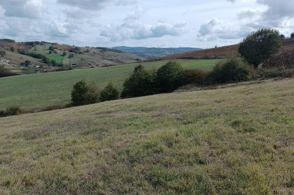 İZMİT SÜVERLER GÖL YAKINI 3537 M2 SATILIK MÜSTAKİL TARLA