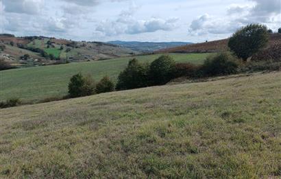 İZMİT SÜVERLER GÖL YAKINI 3537 M2 SATILIK MÜSTAKİL TARLA