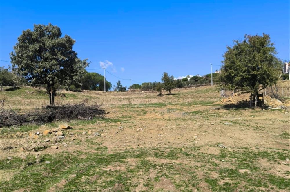 AYVALIK HACİVELİLER’DE 521 m² VİLLA İMARLI MÜSTAKİL TAPULU SATILIK ARSA