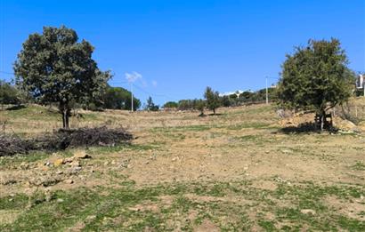 AYVALIK HACİVELİLER’DE 521 m² VİLLA İMARLI MÜSTAKİL TAPULU SATILIK ARSA