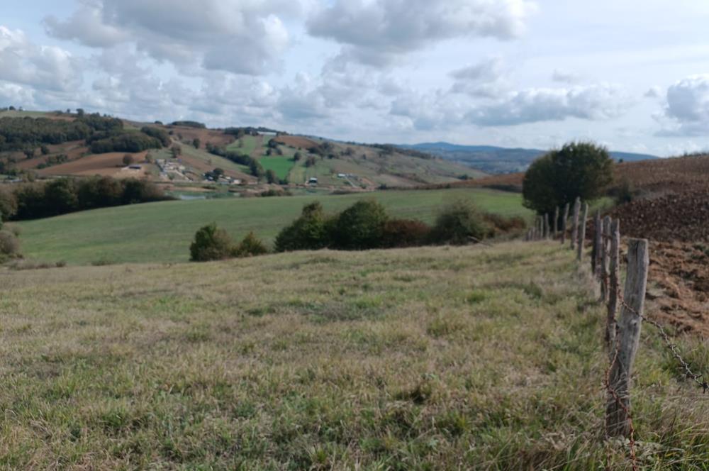 İZMİT SÜVERLER GÖL YAKINI 3537 M2 SATILIK MÜSTAKİL TARLA