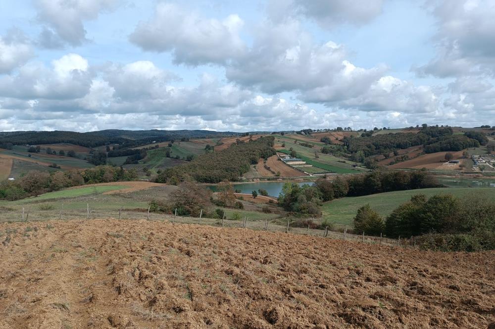 İZMİT SÜVERLER GÖL YAKINI 3537 M2 SATILIK MÜSTAKİL TARLA
