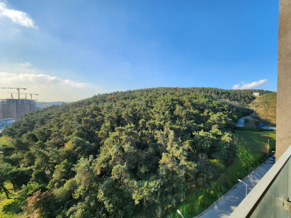 Vadistanbul Kiralık Daire VadiKoru 1+1 Orman Manzaralı