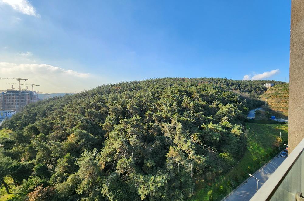 Vadistanbul Kiralık Daire VadiKoru 1+1 Orman Manzaralı