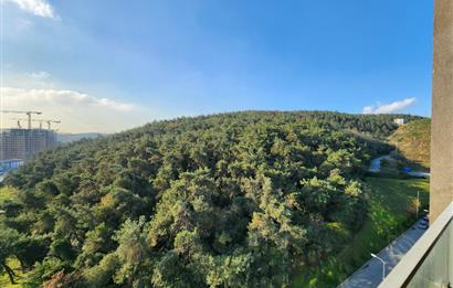 Vadistanbul Kiralık Daire VadiKoru 1+1 Orman Manzaralı